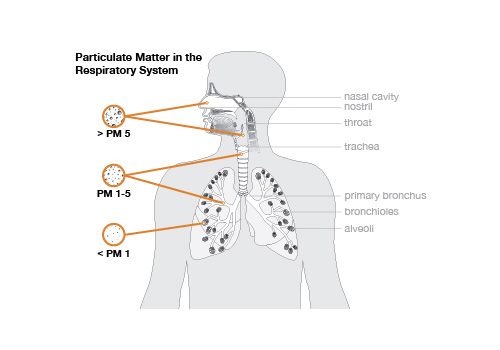 Particulate Matter - DrBeckmann